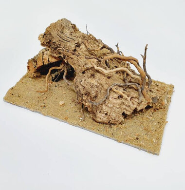 AntScape Biohobby 0323021501004