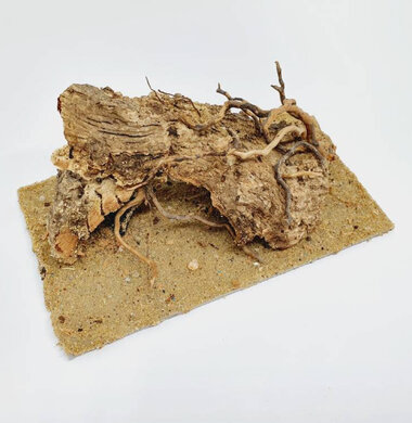 AntScape Biohobby 0323021501004