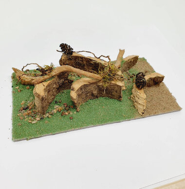 AntScape Biohobby 0323021701005