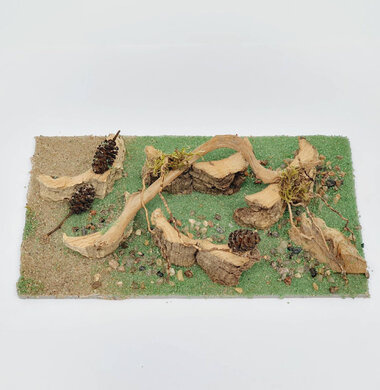 AntScape Biohobby 0323021701005