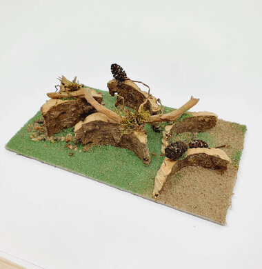 AntScape Biohobby 0323021701005