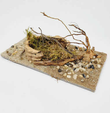 AntScape Biohobby 0323021701008