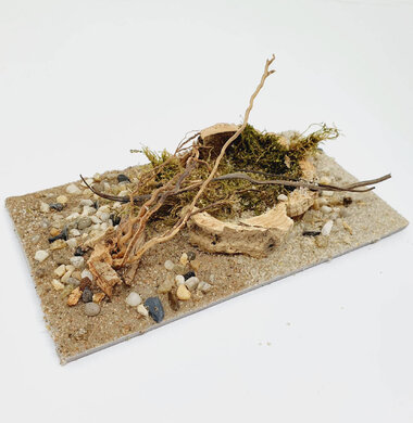 AntScape Biohobby 0323021701008