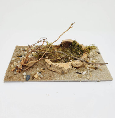 AntScape Biohobby 0323021701008