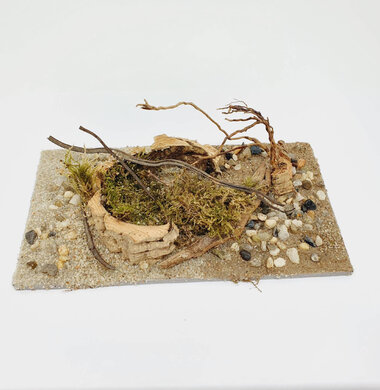 AntScape Biohobby 0323021701008