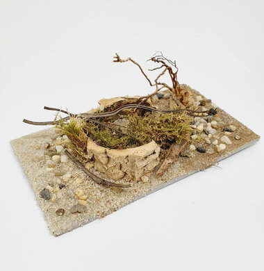 AntScape Biohobby 0323021701008