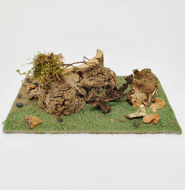 AntScape Biohobby 0323021701009