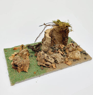 AntScape Biohobby 0323021701009