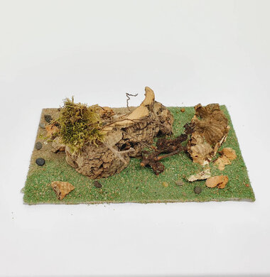 AntScape Biohobby 0323021701009