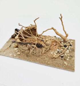 AntScape Biohobby 0323022201001