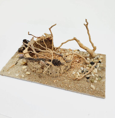 AntScape Biohobby 0323022201001