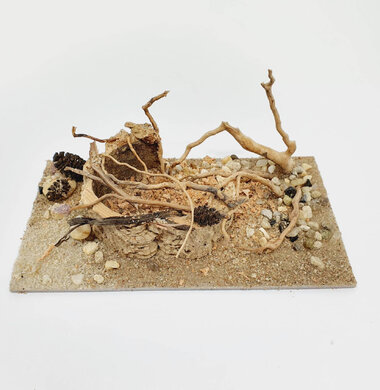 AntScape Biohobby 0323022201001