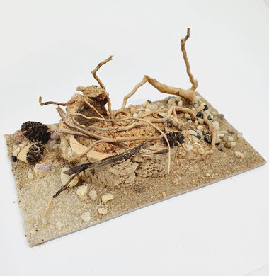 AntScape Biohobby 0323022201001