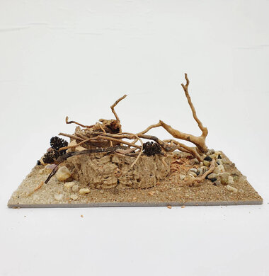 AntScape Biohobby 0323022201001