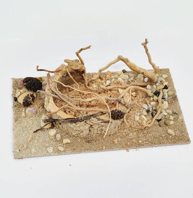 AntScape Biohobby 0323022201001