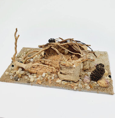 AntScape Biohobby 0323022201001