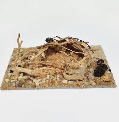 AntScape Biohobby 0323022201001