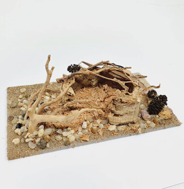 AntScape Biohobby 0323022201001