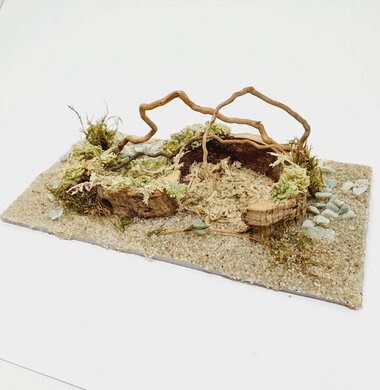 AntScape Biohobby 0323022201005