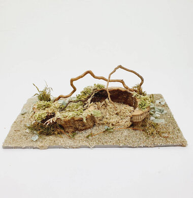 AntScape Biohobby 0323022201005