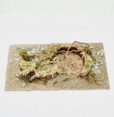 AntScape Biohobby 0323022201005