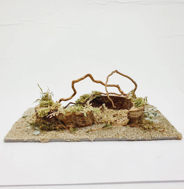 AntScape Biohobby 0323022201005