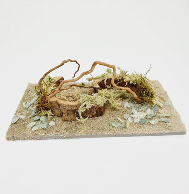 AntScape Biohobby 0323022201005