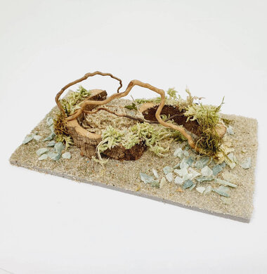 AntScape Biohobby 0323022201005