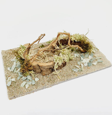 AntScape Biohobby 0323022201005