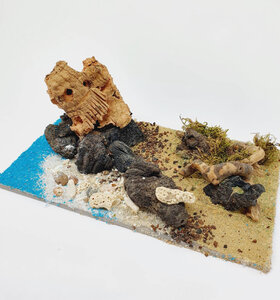 AntScape Biohobby 0323022204002