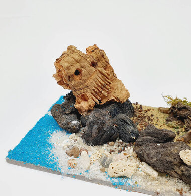 AntScape Biohobby 0323022204002