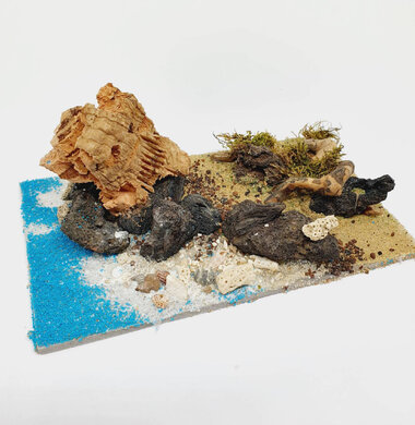 AntScape Biohobby 0323022204002