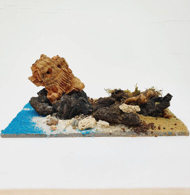 AntScape Biohobby 0323022204002