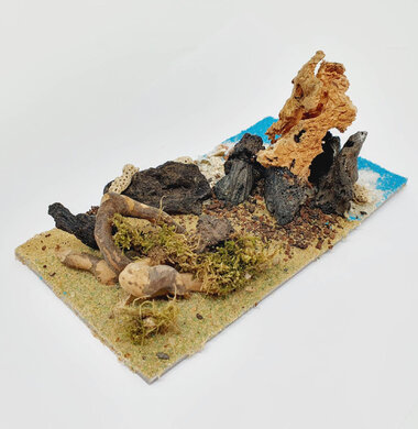 AntScape Biohobby 0323022204002