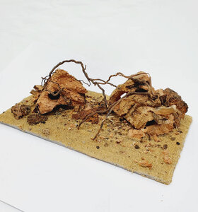 AntScape Biohobby 0323031903002