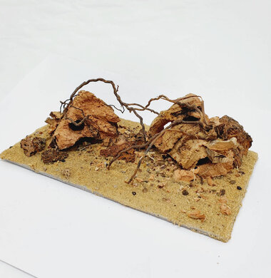 AntScape Biohobby 0323031903002