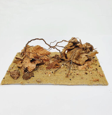 AntScape Biohobby 0323031903002