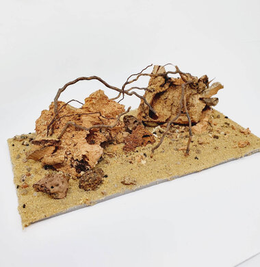 AntScape Biohobby 0323031903002