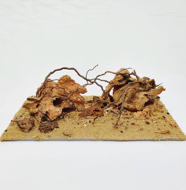 AntScape Biohobby 0323031903002