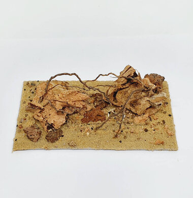 AntScape Biohobby 0323031903002