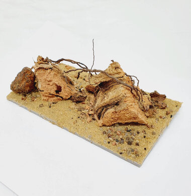 AntScape Biohobby 0323031903002