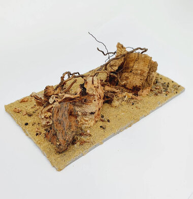 AntScape Biohobby 0323031903002