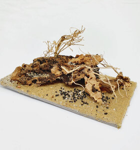 AntScape Biohobby 0323031903005