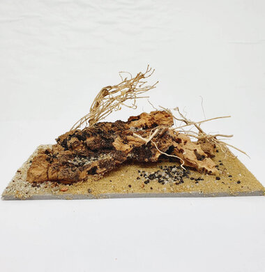 AntScape Biohobby 0323031903005