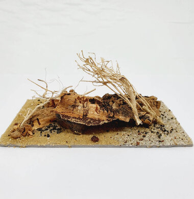 AntScape Biohobby 0323031903005