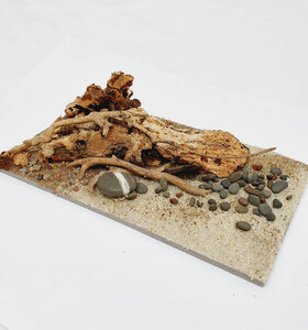 AntScape Biohobby 0323040101016