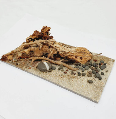 AntScape Biohobby 0323040101016