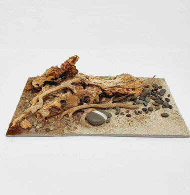 AntScape Biohobby 0323040101016