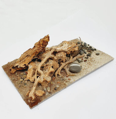 AntScape Biohobby 0323040101016