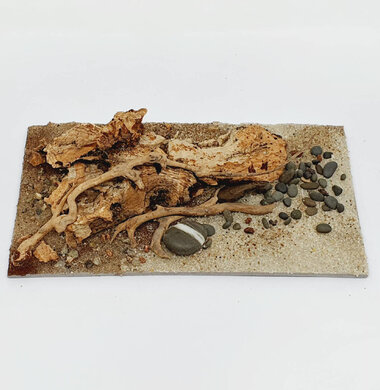 AntScape Biohobby 0323040101016